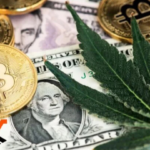 5starsstocks.com cannabis