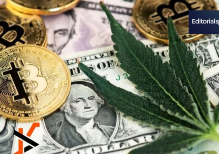 5starsstocks.com cannabis