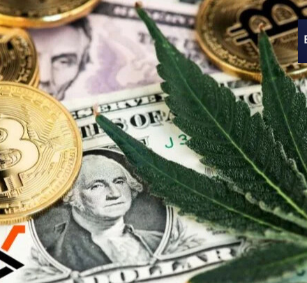 5starsstocks.com cannabis