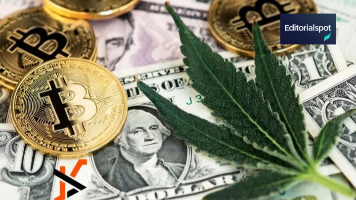 5starsstocks.com cannabis