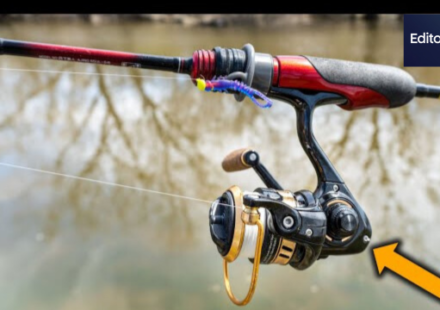 daiwa qz 750