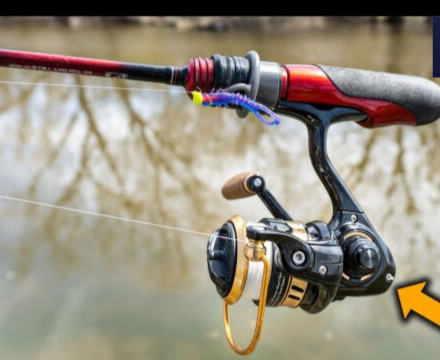 daiwa qz 750