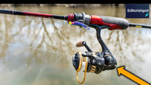 daiwa qz 750