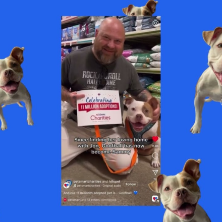 ame petsmart