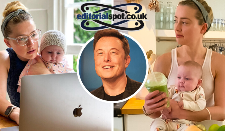 who is the father of amber heard baby